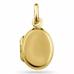 12 x 15 mm ovalt medaljon i forgyldt sølv