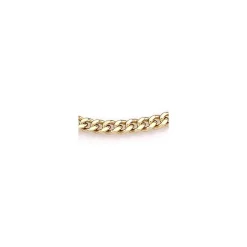 BNH ankelkæde i 14 karat guld 24-26 cm x 2,7 mm