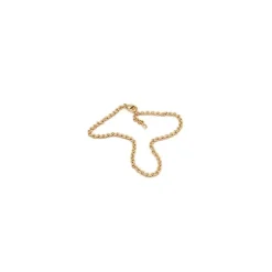BNH ankelkæde i 14 karat guld 24-26 cm x 3,1 mm