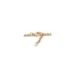 BNH ankelkæde i 14 karat guld 24-26 cm x 3,1 mm