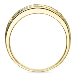 Diamant ring i 9 karat guld 0,07 ct