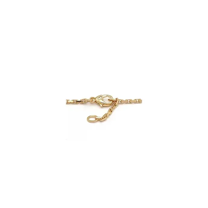 Enkel BNH ankelkæde i 14 karat guld 24-26 cm x 2,0 mm