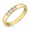 Hvid zirkon alliancering i 9 karat guld