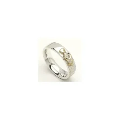 Kollektionsprøve zirkon ring i sølv
