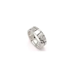 Kollektionsprøve zirkon ring i sølv