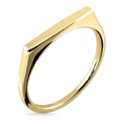 Ring i forgyldt sølv