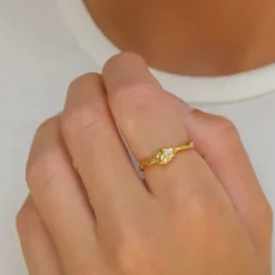 Ring i forgyldt sølv