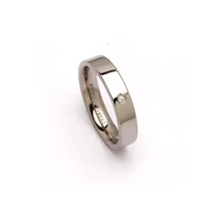 Ring i titanium