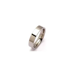 Ring i titanium