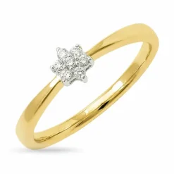Stjerne diamant ring i 9 karat guld.- og hvidguld 0,06 ct